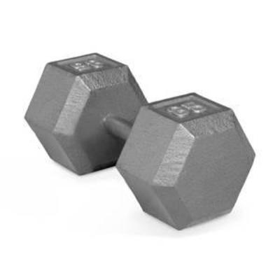 CAP Barbell Cast Iron Hex Dumbbells, Single 85 lbs