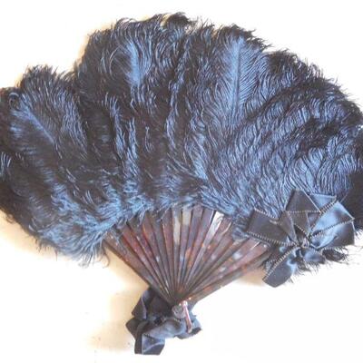 Feather Fan