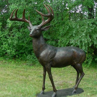 Outstanding life size bronze sculpture "Deer"