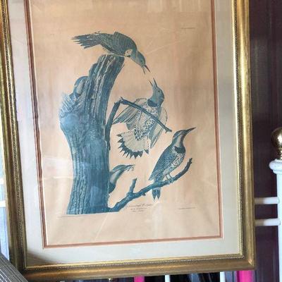 $100 Audubon Pre-buy Using Cash App, Venmo, or PayPal
Cash App: $Agesagoestatesales
PayPal Email: Agesagoestatesales@Gmail.com
VENMO:...