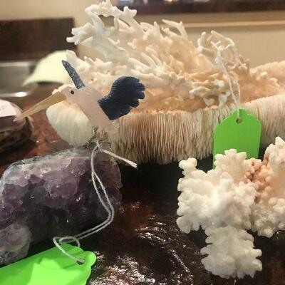 Seashells and Rocks