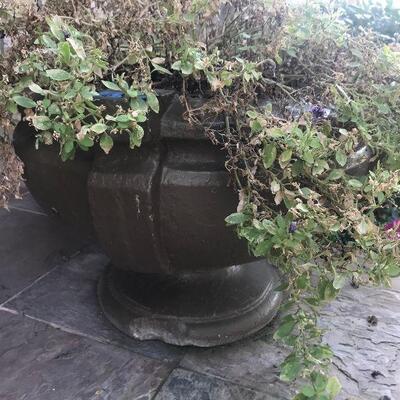 Antique Concrete Planter