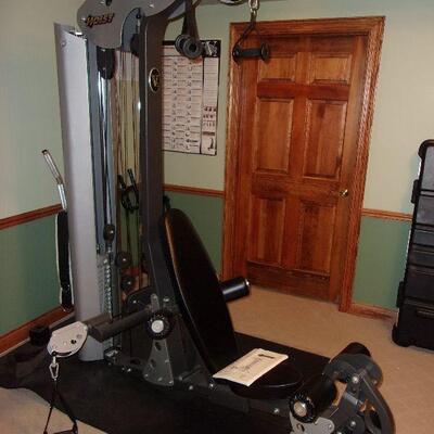 Hoist V2 home gym