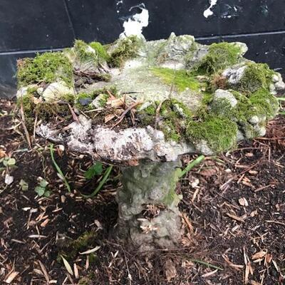 Bird bath $55