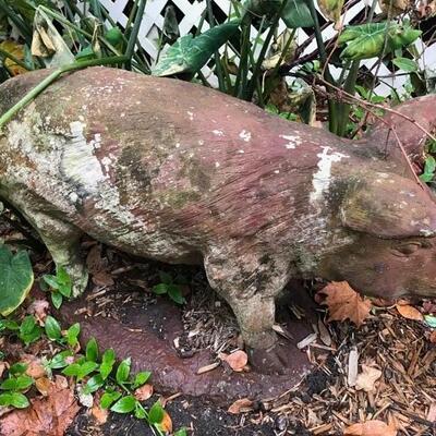 Pig $250