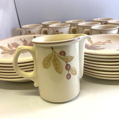 Dish Set
