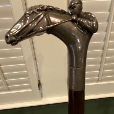 Equestrian cane