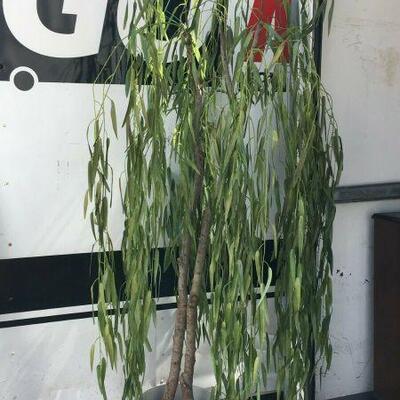 https://www.ebay.com/itm/114764912042	KG0050 FAUX FLORAL PLANT WILLOW TREE HOME OFFICE DÃ‰COR Local Pickup		Buy-It-Now	19.99...