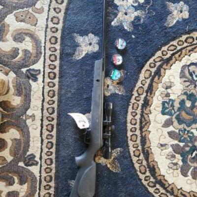 2006	

Gamo Pellet Gun And 3 Tins Of Pellets
Gamo Pellet Gun And 3 Tins Of Pellets