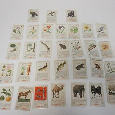 1041	31 ANTIQUE COCOA COLA CARDS FROM VARIOUS SERIES
