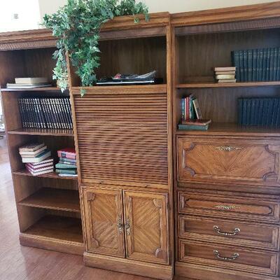 Book shelves with antique and new books