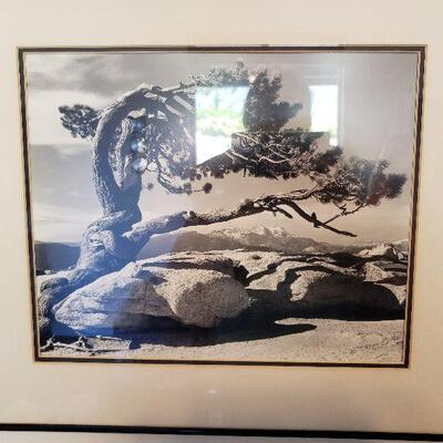1940's Ansel Adams Print