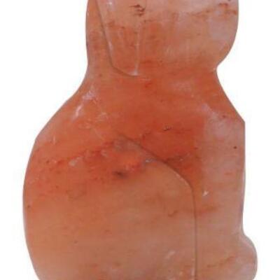 162	

9" Natural Himalayan Dog Shaped Salt Lamp.
This Natural Himalayan salt lamp is approximately 9" tall x 6" wide....