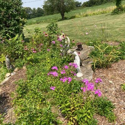 Garden decor