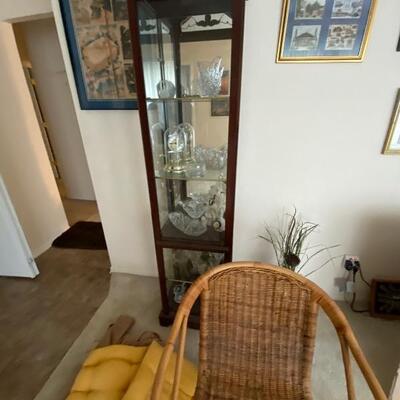 Curio 55.00