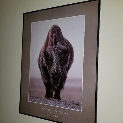 Photo art, bison