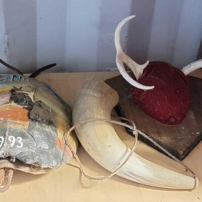 #5512 â€¢ Antlers, Shells and Horn.