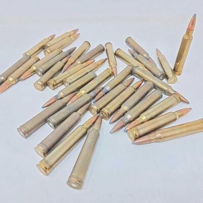 #2128 â€¢ Assortment of 51 Rounds of Ammo

