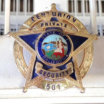 #8036 â€¢ Century Private Security Badge
