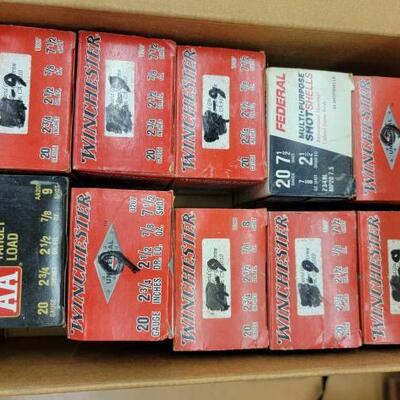 #2780 â€¢ 250 Rounds of 20GA
