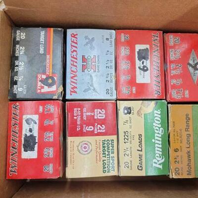 #2782 â€¢ 200 Rounds of 20GA