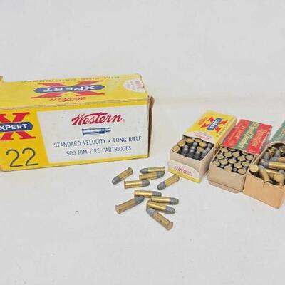 #2029 â€¢ Approx 500 Rounds of .22