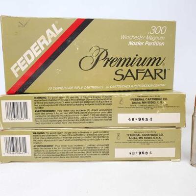 #2306 â€¢ 60 Rounds of Winchester Magnum .300