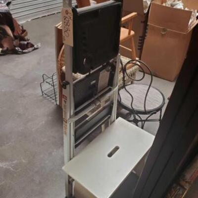 #2830 â€¢ Step Ladder and Step Stool
