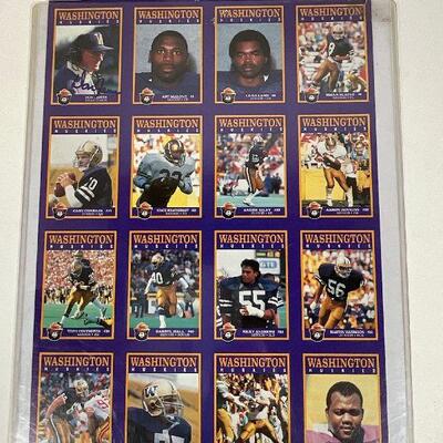 UW Husky Card Sheet