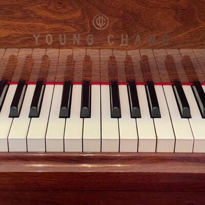 Young Chang Baby Grand Piano
