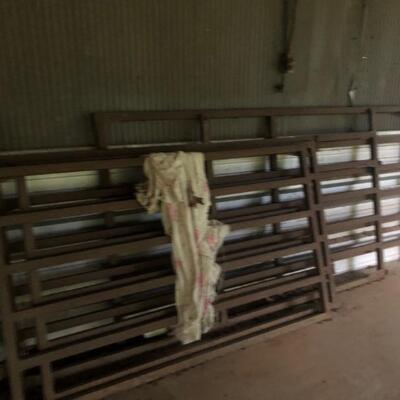 More Cattle Panels 