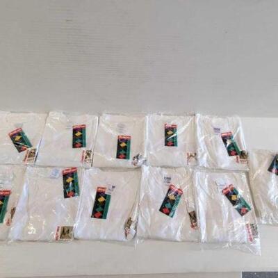 #5264 â€¢ 1 XL and 10 L Snap-On Shirts