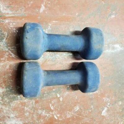#6536 â€¢ Pair Of 8 Lbs Dumbells And Exercise Ball