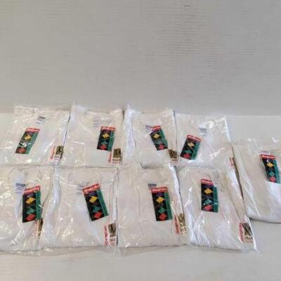 #5234 â€¢ 17 L and 4 XXL Snap-On Shirts