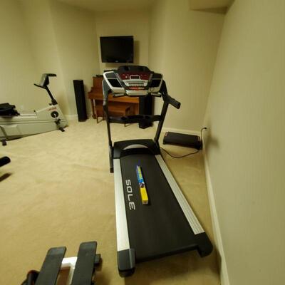 Sole treadmill
