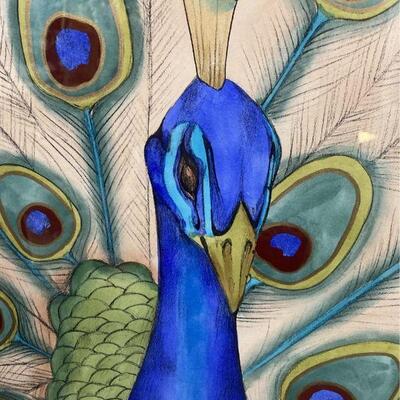 Peacock Art