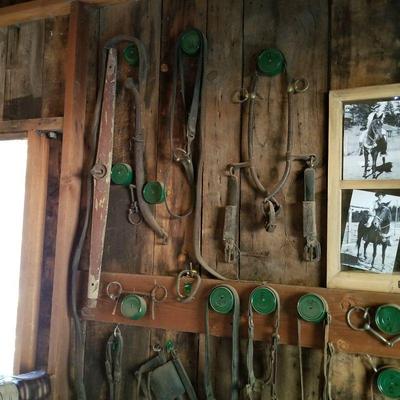 Full stable of tack up for auction.  Full video in the listing itself