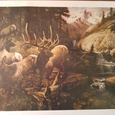 Poster signed by artist