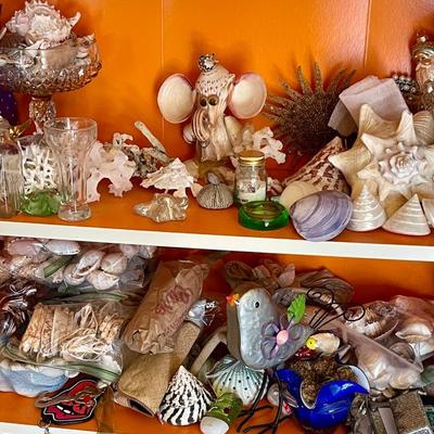Seashells galore!!!