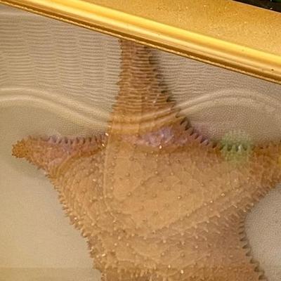 Framed Starfish in Shadow Box