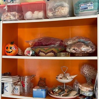 Seashells galore!!!