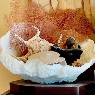 Large natural coral and seashells galore!!!