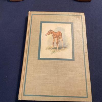 1st edition