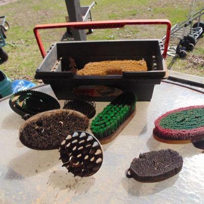 horse brushes and container