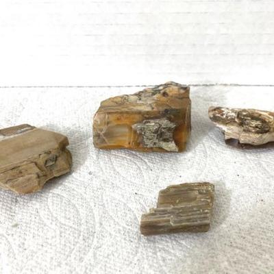 Petrified Wood