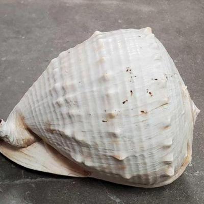 Lot 2094