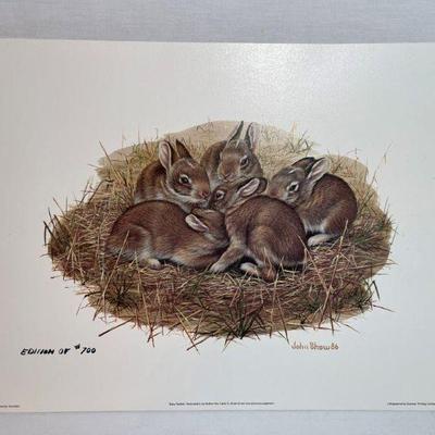 John Shaw Lithographs
