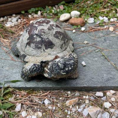 Concrete Turtle