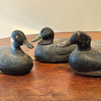 (3PC) BLUEBILL & BLACK DUCK DECOYS | Vintage Gunning Decoy Lot Includes (1) Bluebill Drake with nice form and a good old in use...