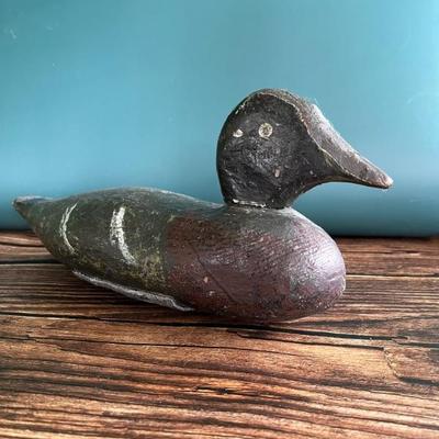 Antique duck decoy, white wing scoter, hand carved and hand painted